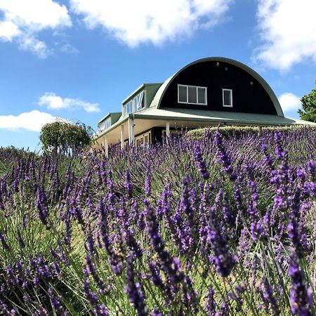 Lavender Hill Bed and Breakfast Riverhead Exteriör bild
