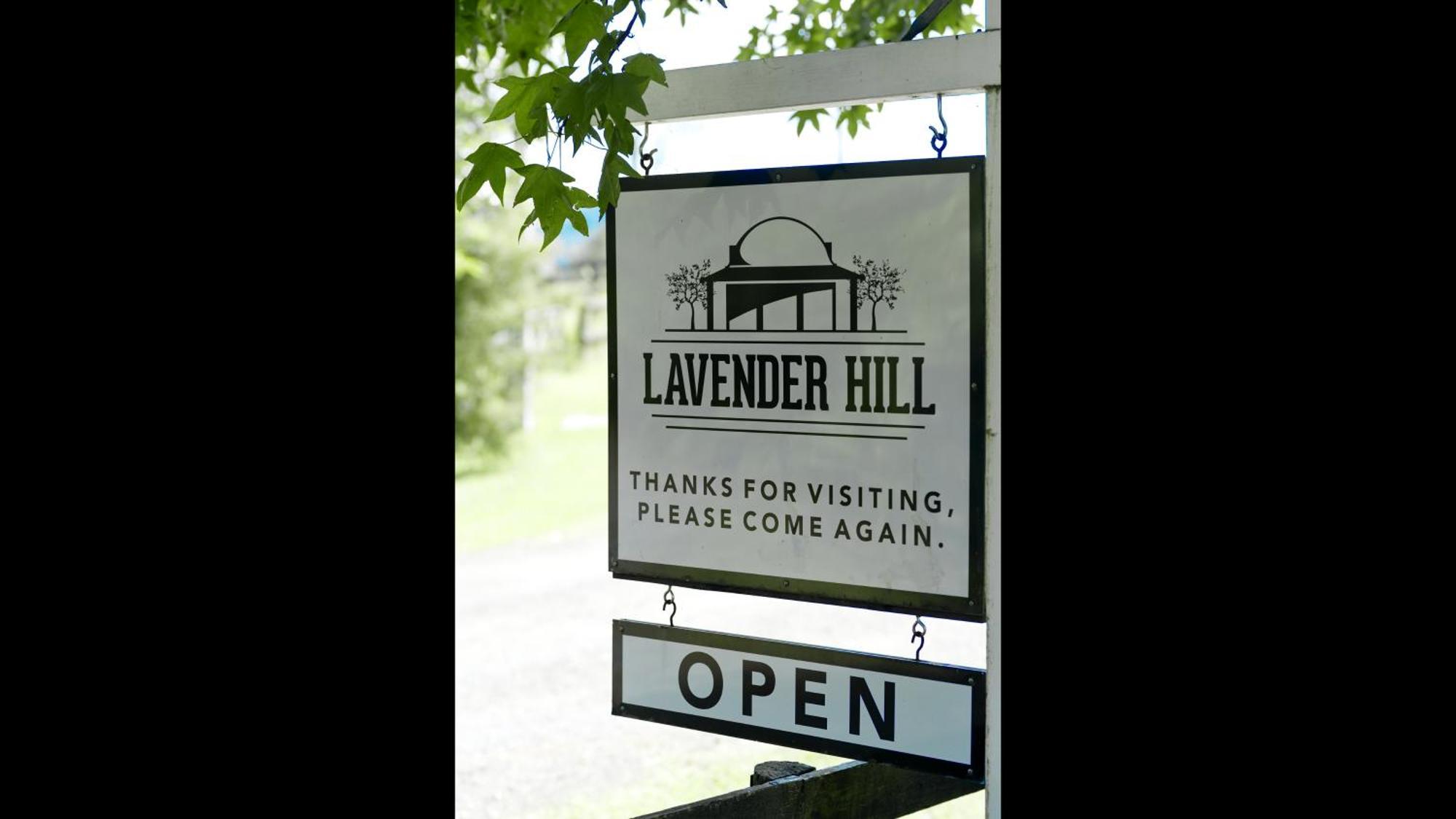 Lavender Hill Bed and Breakfast Riverhead Exteriör bild