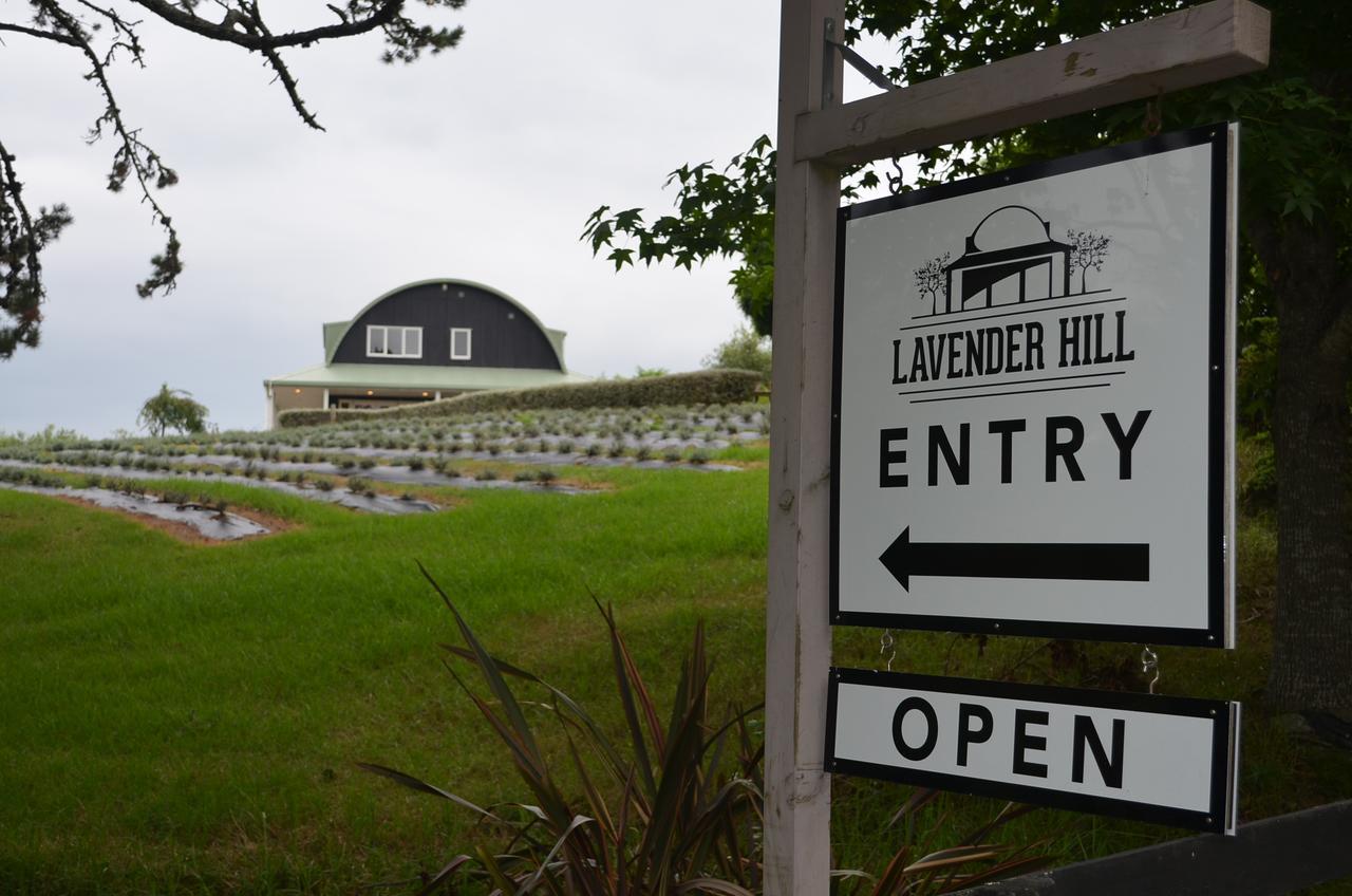 Lavender Hill Bed and Breakfast Riverhead Exteriör bild
