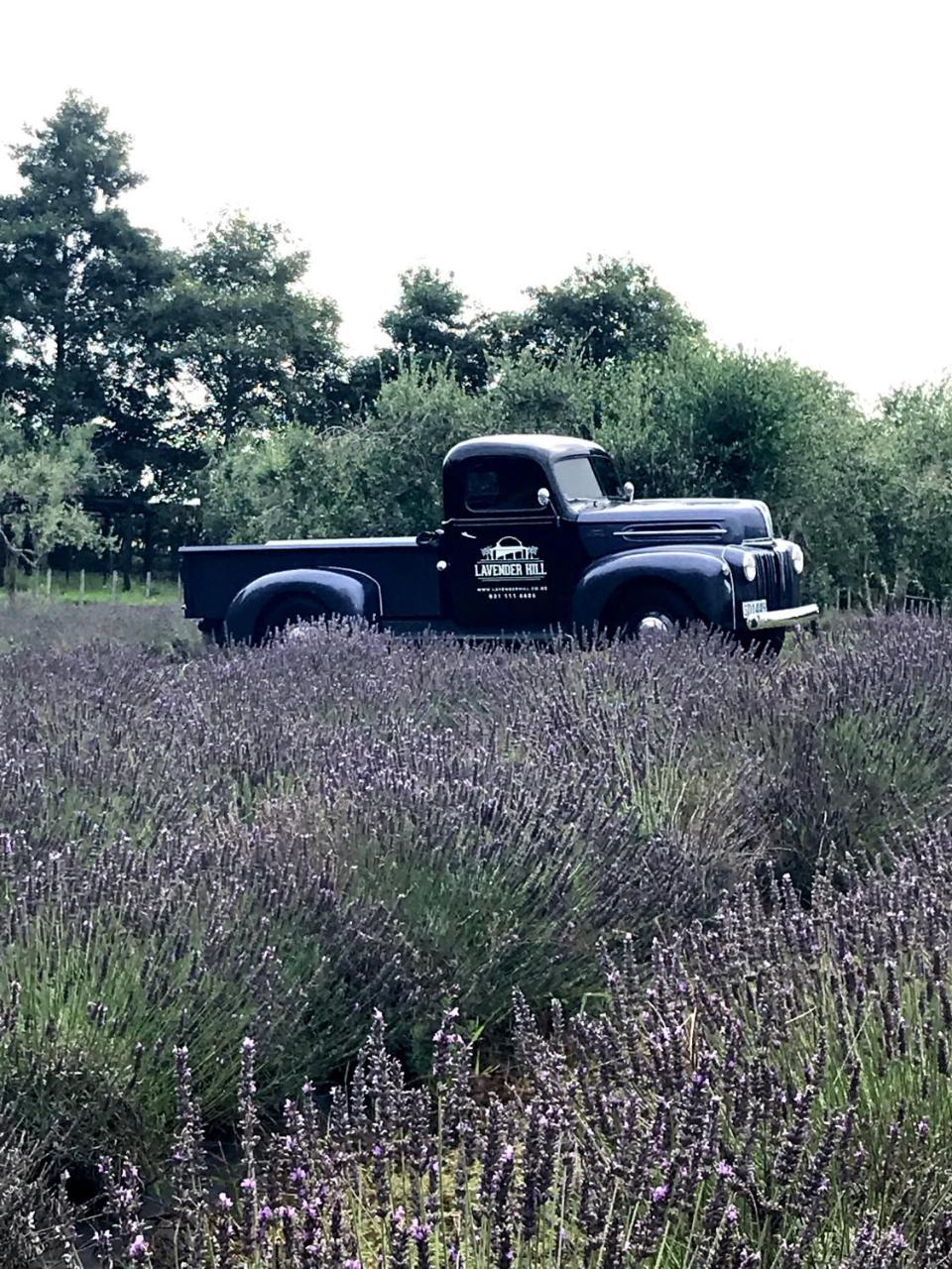 Lavender Hill Bed and Breakfast Riverhead Exteriör bild