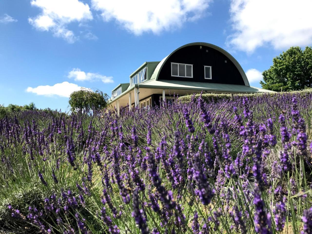 Lavender Hill Bed and Breakfast Riverhead Exteriör bild